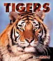 Tigers - Jenny Markert