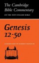 Genesis 12-50 - Robert Davidson