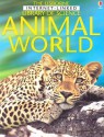 Animal World - Laura Howell, Kirsteen Rogers