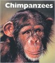 Chimpanzees - Mary Ann McDonald