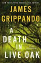 A Death in Live Oak: A Jack Swyteck Novel - James Grippando