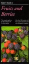 Taylor's Guide to Fruits and Berries (Taylor's Gardening Guides) - Roger Holmes