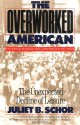 Overworked American: The Unexpected Decline of Leisure - Juliet B. Schor