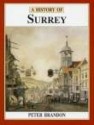 A History of Surrey (Darwen County History) (Darwen County History) - Peter Brandon