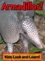 Armadillos! Learn About Armadillos and Enjoy Colorful Pictures - Look and Learn! (50+ Photos of Armadillos) - Becky Wolff