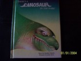 There's a Dinosaur in the Park! (A Quality time book) - Rodney Martin