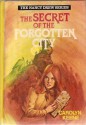 The Secret of the Forgotten City (Nancy Drew, #52) - Carolyn Keene