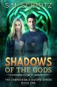 Shadows of the Gods (The Unbreakable Sword Series Book 1) - S.M. Schmitz