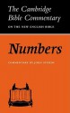 Numbers - John Sturdy