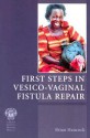 First Steps in Vesico-Vaginal Fistula Repair - Brian Hancock