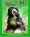 Rosie: A Visting Dog's Story - Stephanie Calmenson, Justin Sutcliffe