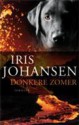 Donkere zomer - Iris Johansen, Karin Pijl