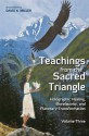 Teachings from the Sacred Triangle, Volume 3: Holographic Healing, Biorelativity, and Planetary Transformation - David K. Miller