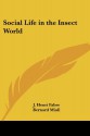 Social Life in the Insect World - J. Henri Fabre, Bernard Miall