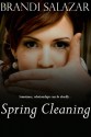 Spring Cleaning - Brandi Salazar