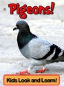 Pigeons! Learn About Pigeons and Enjoy Colorful Pictures - Look and Learn! (50+ Photos of Pigeons) - Becky Wolff