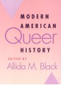 Modern American Queer History - Allida M. Black