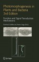 Photomorphogenesis In Plants And Bacteria: Function And Signal Transduction Mechanisms - Eberhard Schäfer, Ferenc Nagy