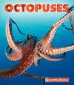 Octopuses - Jenny Markert