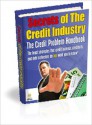 Secrets of the Credit Industry - Lou Diamond