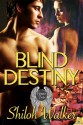 Blind Destiny (Grimm's Circle) - Shiloh Walker