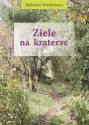 Ziele na kraterze - Melchior Wańkowicz