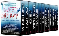 Sweet Dreams Boxed Set (Thirteen NEW Thrillers by Bestselling Authors to Benefit Diabetes Research) - Brenda Novak, Allison Brennan, Cynthia Eden, JT Ellison, Heather Graham, Liliana Hart, Alex Kava, CJ Lyons, Carla Neggers, Theresa Ragan, Erica Spindler, Jo Robertson, Tiffany Snow, Lee Child