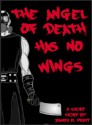 The Angel of Death Has No Wings - James Pratt