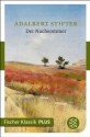 Der Nachsommer - Adalbert Stifter