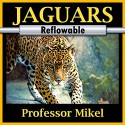 Jaguars: A Picture Book of Amazing Nature Facts for Kids (Astounding Animals #1 - Reflowable) - Professor Mikel, R.M. ArceJaeger