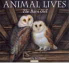 The Barn Owl (Animal Lives) - Sally Tagholm