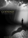 GodSend: Out of Darkness, Into the Light - Bryan Wallace, Brenda Wallace, David Wallace