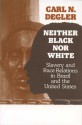 Neither Black Nor White: Slavery and Race Relations in Brazil and the United States - Carl N. Degler