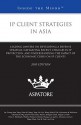 IP Client Strategies in Asia: Leading Lawyers on Developing a Defense Strategy, Navigating Recent Changes in IP Protection, and Understanding the Impact of the Economic Crisis on IP Clients - Jay Young, June Yang