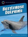 Bottlenose Dolphins - Elizabeth Thomas