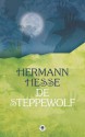 De steppewolf - Hermann Hesse, Pieter Grashoff