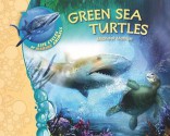 Green Sea Turtles - Michael Molnar