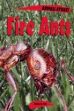 Fire Ants (Animals Attack) - Tamra B. Orr