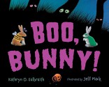 Boo, Bunny! board book - Kathryn O. Galbraith, Jeff Mack