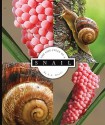 The Life Cycle of a Snail - L.L. Owens