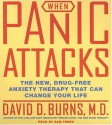 When Panic Attacks CD: The New, Drug-Free Anxiety Treatments That Can Change Your Life - David D. Burns, Sam Freed