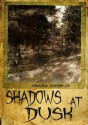 Shadows at Dusk - Miranda Doerfler