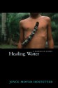 Healing Water: An Hawaiian Story - Joyce Moyer Hostetter