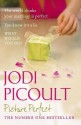 Picture Perfect - Jodi Picoult