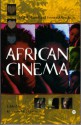 African Cinema: Postcolonial and Feminist Readings - Kenneth W. Harrow