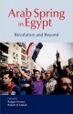 Arab Spring in Egypt: Revolution and Beyond - Bahgat Korany, Rabab El-Mahdi