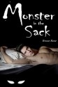 Monster in the Sack (A Fairview Story Book 3) - Bruce Rose