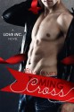 Taming Cross - Ella James