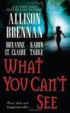 What You Can't See - Allison Brennan, Karin Tabke, Roxanne St. Claire