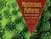 Mysterious Patterns: Finding Fractals in Nature - Sarah C Campbell, Richard P Campbell